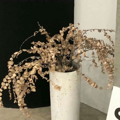 Furry绘画色彩灵感Furry群